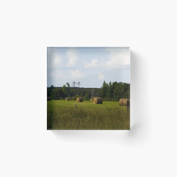 Item preview, Hay bales designed and sold by OrcaNature.