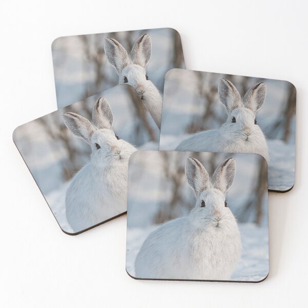 Item preview, Snow Shoe Hare designed and sold by Michael Cummings.