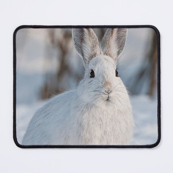 Item preview, Snow Shoe Hare designed and sold by Michael Cummings.