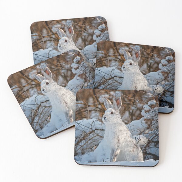 Item preview, Snow Shoe Hare designed and sold by Michael Cummings.