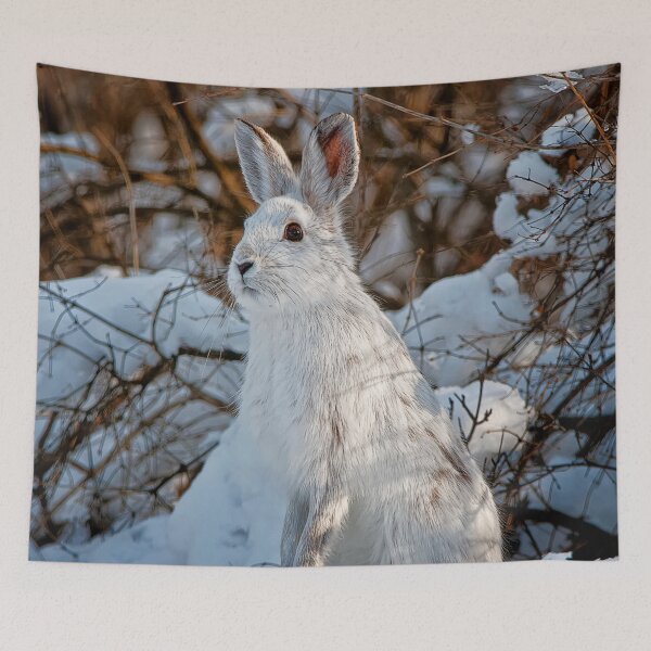 Item preview, Snow Shoe Hare designed and sold by Michael Cummings.