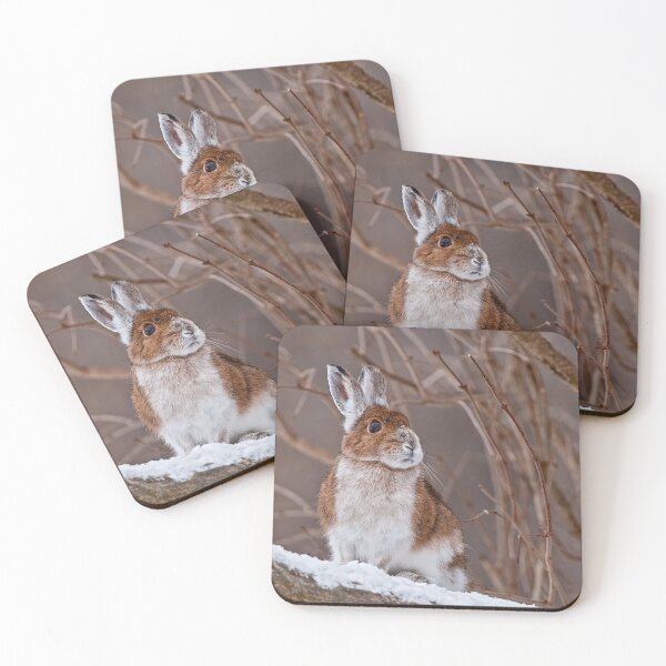 Item preview, Snow Shoe Hare designed and sold by Michael Cummings.