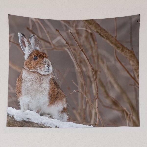 Item preview, Snow Shoe Hare designed and sold by Michael Cummings.