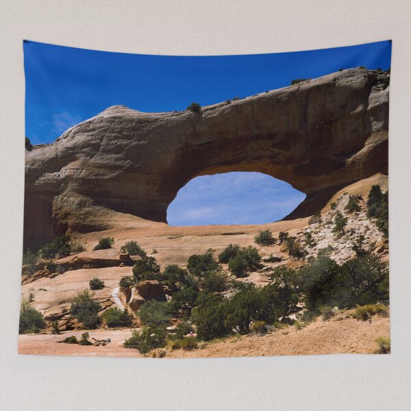 Item preview, Massive bridge-like arch at Arches National Park, Utah designed and sold by OrcaNature.