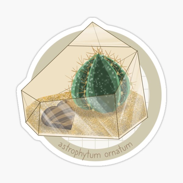 Terrarium - Astrophytum Ornatum Sticker