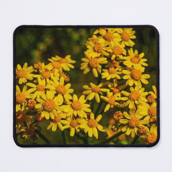 Item preview, a bunch of sunshine designed and sold by transientloner.
