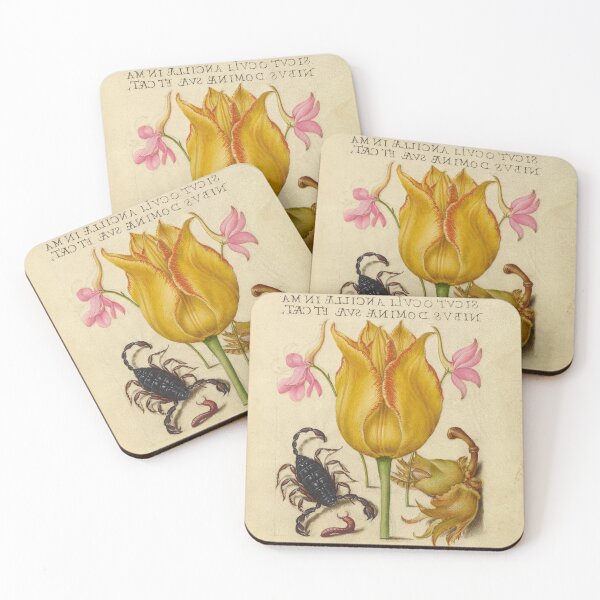 Item preview, Naturalist Manuscript: Flower, Scorpion, and Calligraphy Illumination by Joris Hoefnagel designed and sold by Naturalist Prints.