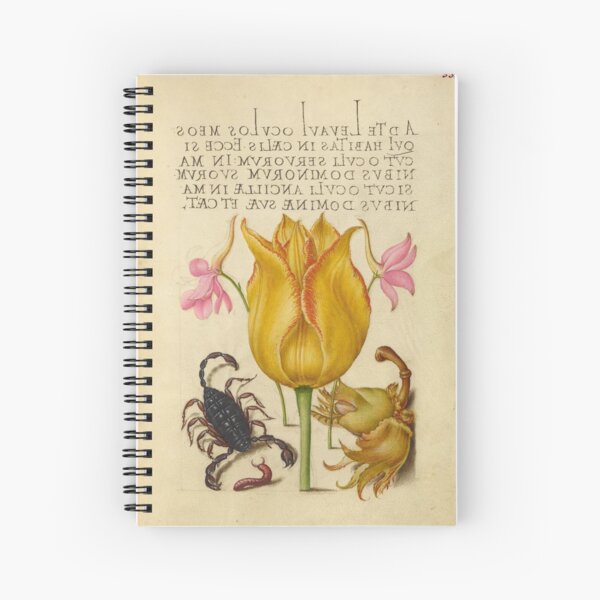 Item preview, Naturalist Manuscript: Flower, Scorpion, and Calligraphy Illumination by Joris Hoefnagel designed and sold by Naturalist Prints.