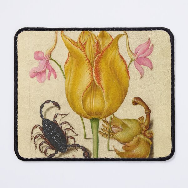 Item preview, Naturalist Manuscript: Flower, Scorpion, and Calligraphy Illumination by Joris Hoefnagel designed and sold by Naturalist Prints.