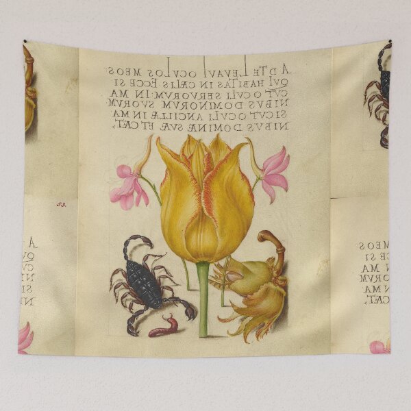 Item preview, Naturalist Manuscript: Flower, Scorpion, and Calligraphy Illumination by Joris Hoefnagel designed and sold by Naturalist Prints.