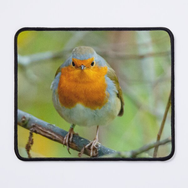 Item preview, Robin redbreast designed and sold by Dalyndigital Photography.
