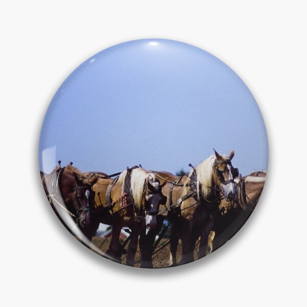 Item preview, Amish farmer and his team of draft horses, Lancaster, Pennsylvania designed and sold by OrcaNature.