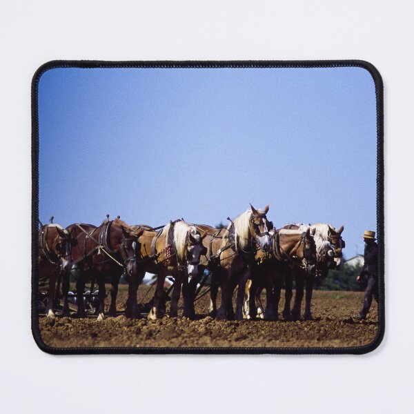 Item preview, Amish farmer and his team of draft horses, Lancaster, Pennsylvania designed and sold by OrcaNature.