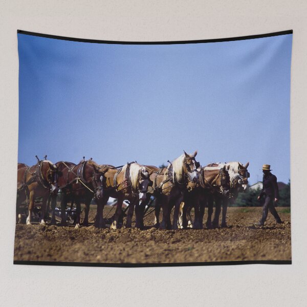Item preview, Amish farmer and his team of draft horses, Lancaster, Pennsylvania designed and sold by OrcaNature.