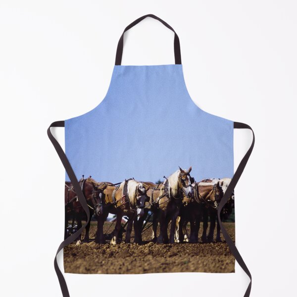 Item preview, Amish farmer and his team of draft horses, Lancaster, Pennsylvania designed and sold by OrcaNature.