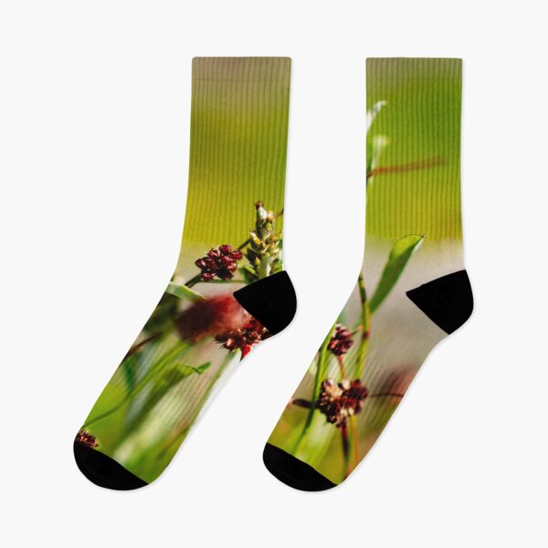 Item preview, Photography - The beauty of nature  designed and sold by Karolien Kenis.