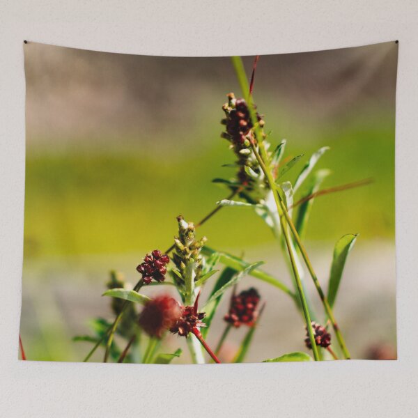 Item preview, Photography - The beauty of nature  designed and sold by Karolien Kenis.