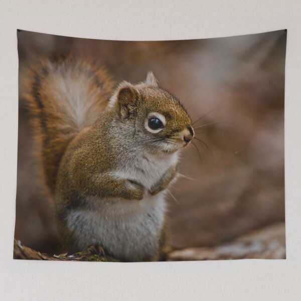 Item preview, Red Squirrel designed and sold by Michael Cummings.