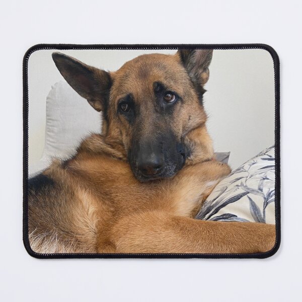 Item preview, bea the therapy dog designed and sold by Lanie B Meyer.