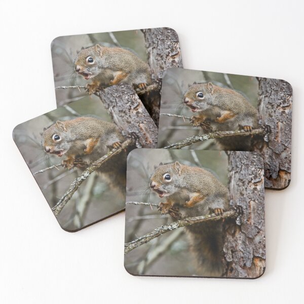 Item preview, Red Squirrel designed and sold by Michael Cummings.