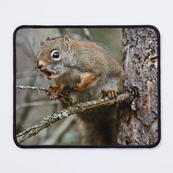 Item preview, Red Squirrel designed and sold by Michael Cummings.