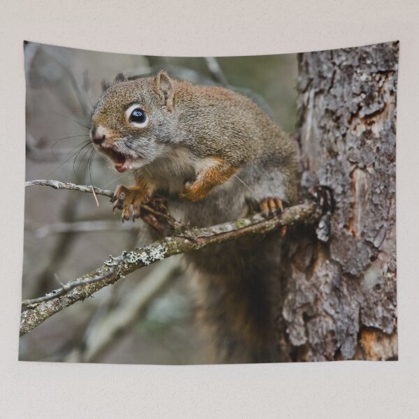 Item preview, Red Squirrel designed and sold by Michael Cummings.