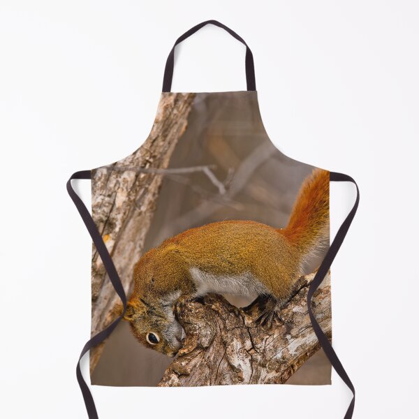 Item preview, Red Squirrel designed and sold by Michael Cummings.