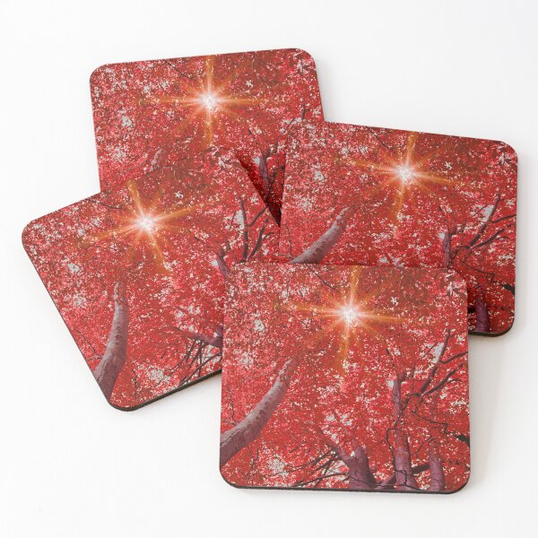 Item preview, Sunlight through Autumn leaves designed and sold by Graz-Photos.