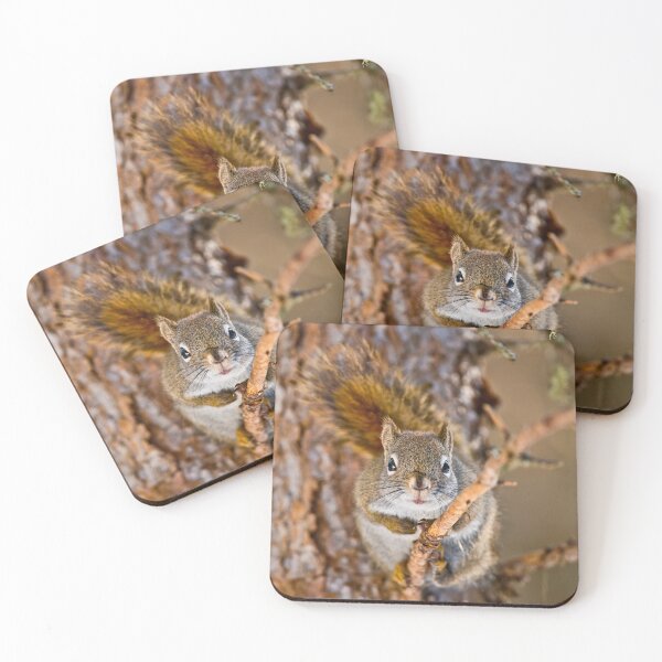 Item preview, Red Squirrel designed and sold by Michael Cummings.