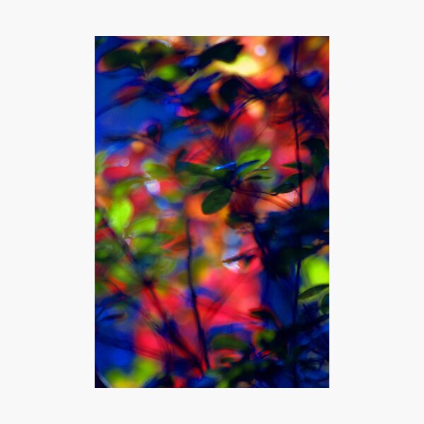 Item preview, tupelo blast designed and sold by Coastwind Photography.