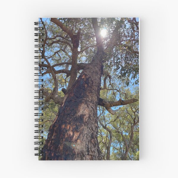 Item preview, look up designed and sold by Lanie B Meyer.