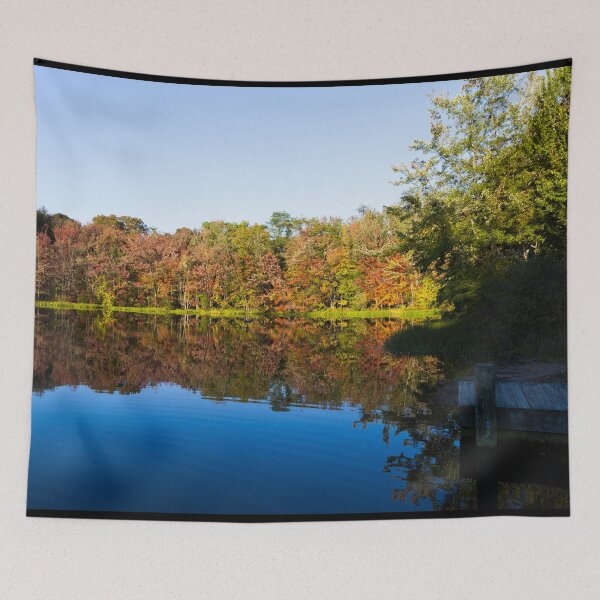 Artikelvorschau, Teich in Essex, Connecticut entworfen und verkauft von OrcaNature.