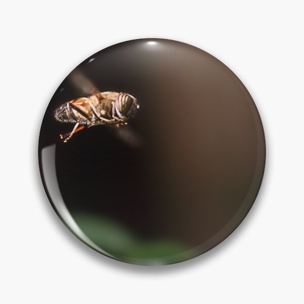 Artikelvorschau, Das bee b-Team entworfen und verkauft von Paul Pasco.