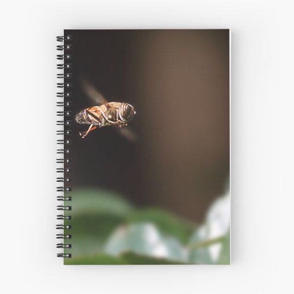 Item preview, The bee b team designed and sold by Paul Pasco.