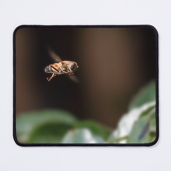 Item preview, The bee b team designed and sold by Paul Pasco.