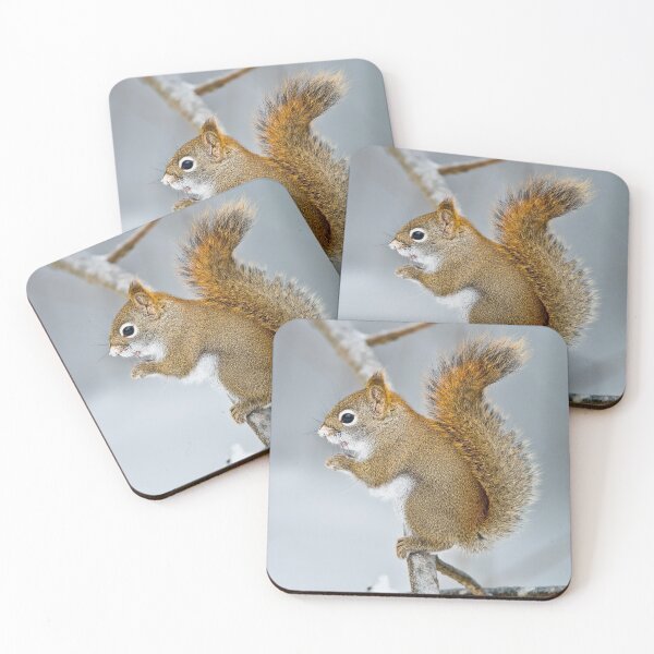 Item preview, Red Squirrel designed and sold by Michael Cummings.