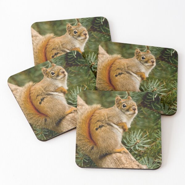 Item preview, Red Squirrel designed and sold by Michael Cummings.