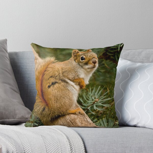 Item preview, Red Squirrel designed and sold by Michael Cummings.
