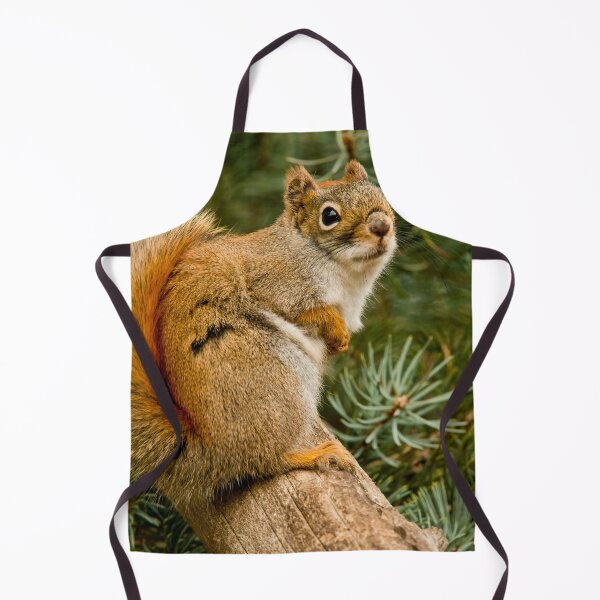 Item preview, Red Squirrel designed and sold by Michael Cummings.