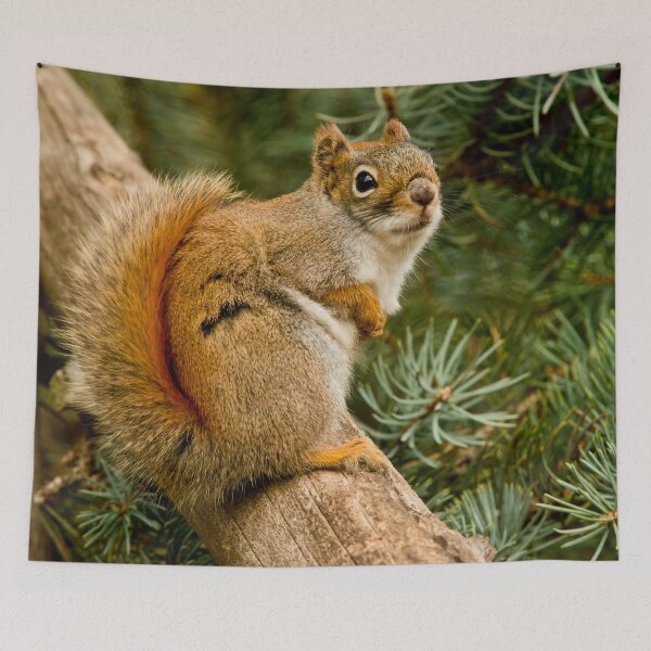 Item preview, Red Squirrel designed and sold by Michael Cummings.