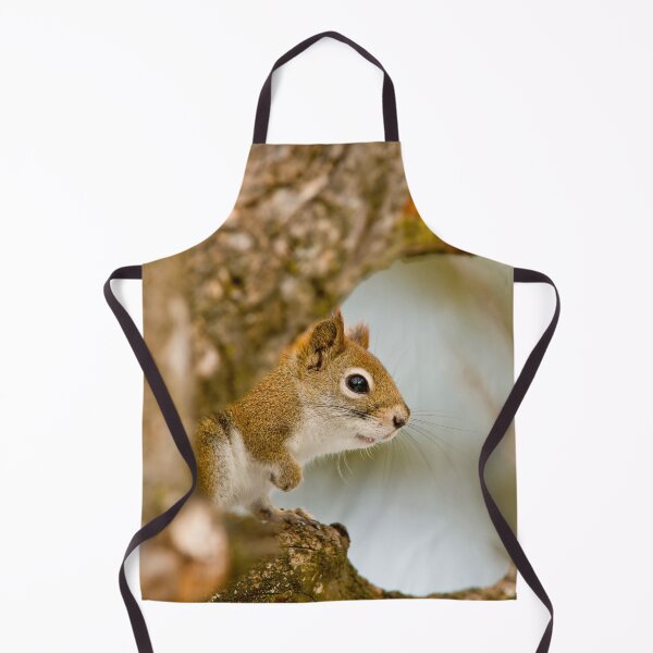 Item preview, Red Squirrel designed and sold by Michael Cummings.