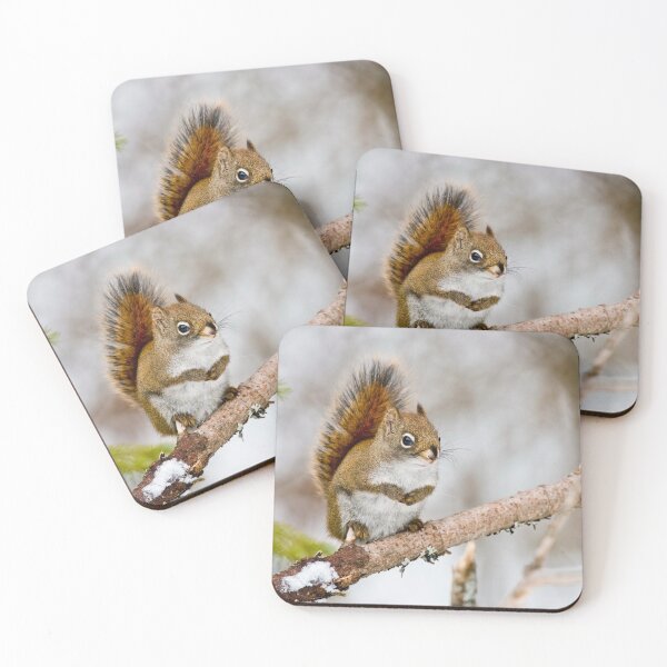 Item preview, Red Squirrel designed and sold by Michael Cummings.