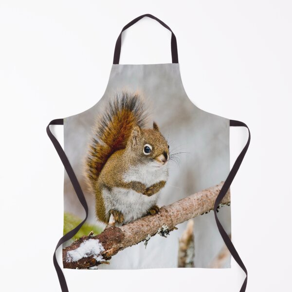 Item preview, Red Squirrel designed and sold by Michael Cummings.