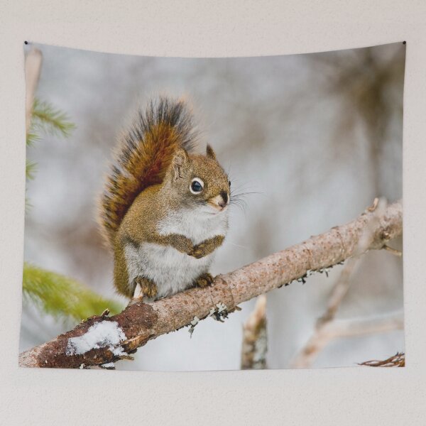 Item preview, Red Squirrel designed and sold by Michael Cummings.