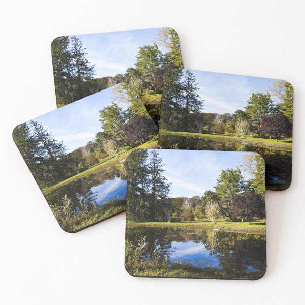 Item preview, Rockwell Swamp in Mead Memorial Park, New Canaan, Connecticut designed and sold by OrcaNature.