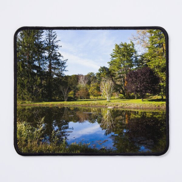Item preview, Rockwell Swamp in Mead Memorial Park, New Canaan, Connecticut designed and sold by OrcaNature.