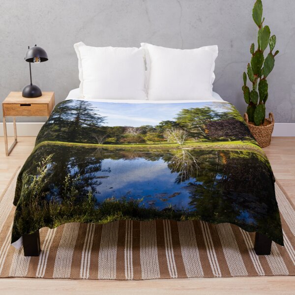 Item preview, Rockwell Swamp in Mead Memorial Park, New Canaan, Connecticut designed and sold by OrcaNature.