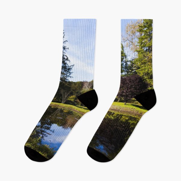 Item preview, Rockwell Swamp in Mead Memorial Park, New Canaan, Connecticut designed and sold by OrcaNature.