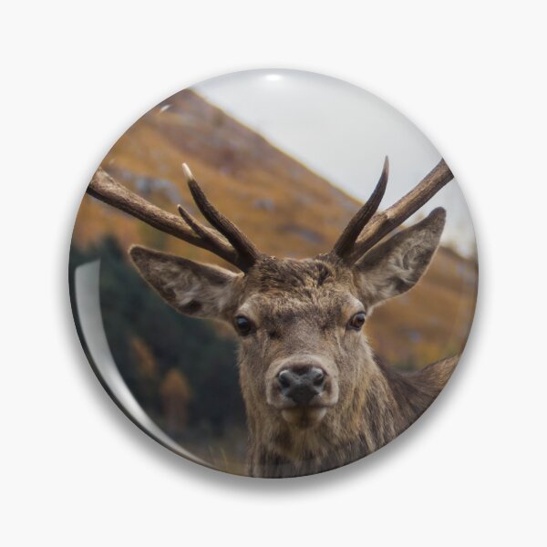Item preview, Red Deer Stag with Antlers designed and sold by derekbeattie.