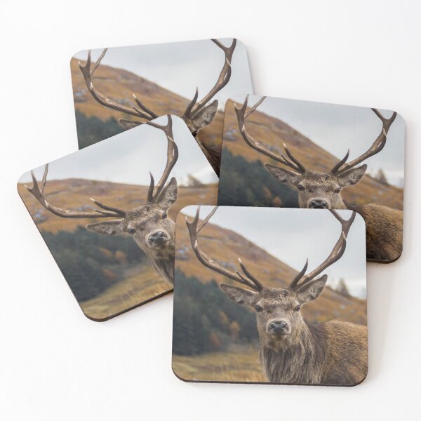 Item preview, Red Deer Stag with Antlers designed and sold by derekbeattie.